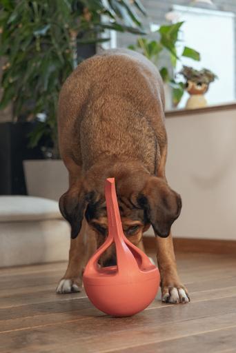 Image du produit Beeztees Jouet en caoutchouc pour chien Wiggle-X