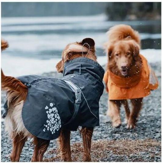 Image du produit Hurtta Imperméable de mousson gris foncé (90, L, XL, Imperméable pour chien)