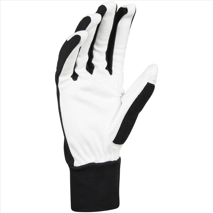 Produktbild Daehlie M Glove Race (10)