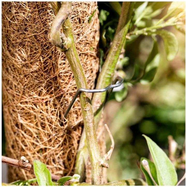 Image du produit Windhager Bâton de plante noix de coco (110 cm, 4.50 cm)