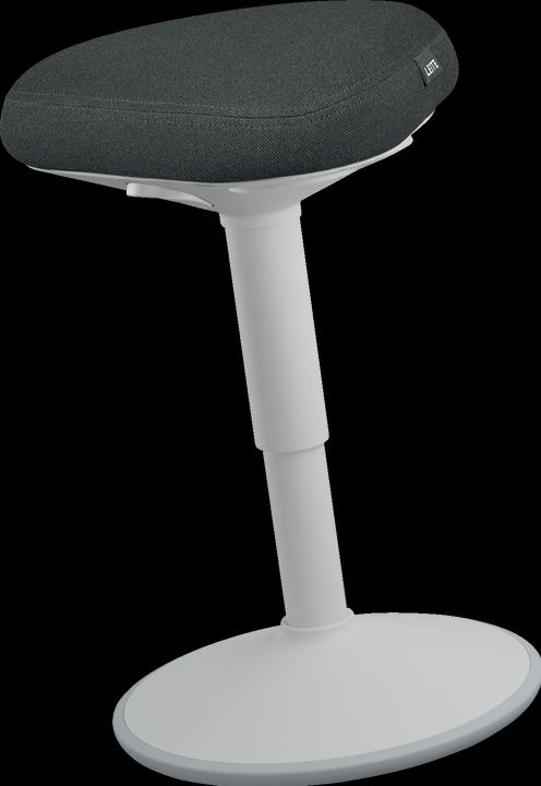 Produktbild Leitz Ergo Active