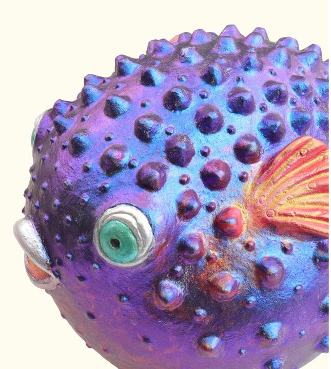 Image du produit Finetec Bascule (Multicolore)