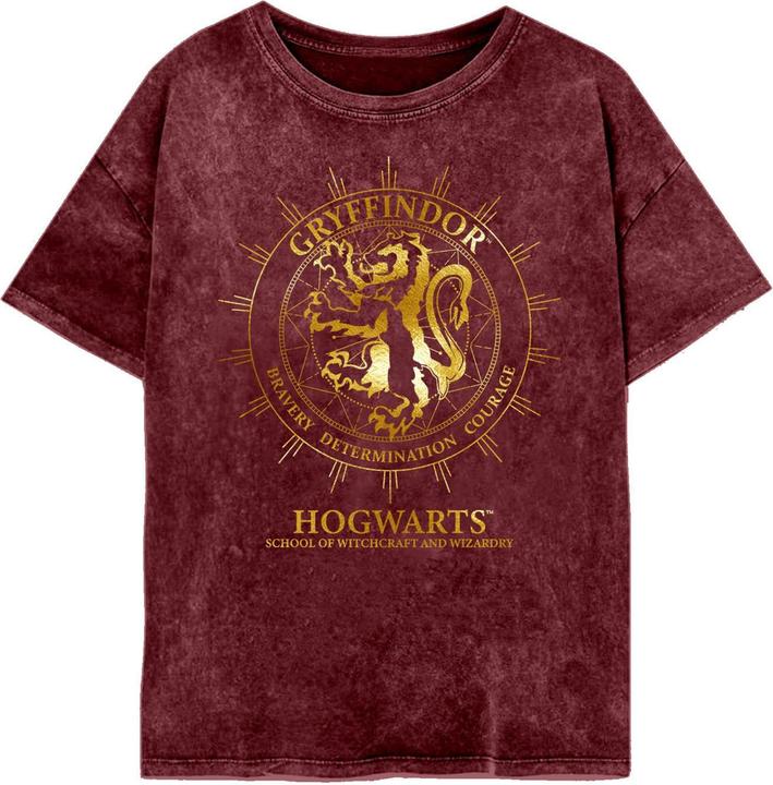 Gryffindor Constellation TShirt (M)