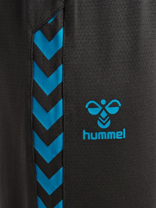 Actual product image hummel Hmlstaltic Training Pants (S)