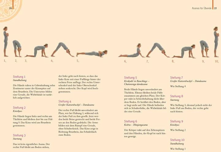 Image du produit Heilkraft Yoga. 100 Übungen für Ihre Gesundheit. Empfohlen von der Deutschen Yogagesellschaft e.... (Allemand, Sigmund Feuerabendt, 2022)