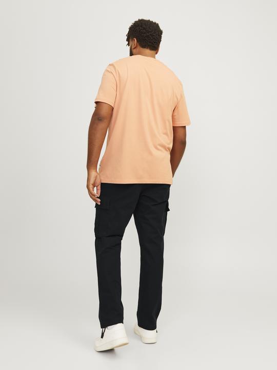 Actual product image Jack & Jones Jpstkane Jjbarkley Cargo Pant Noos Pls (46)