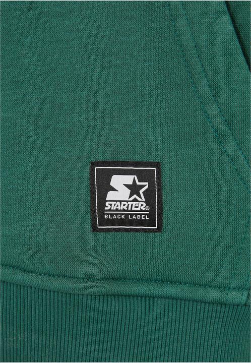 Actual product image Starter The Classic Logo Hoody (M)