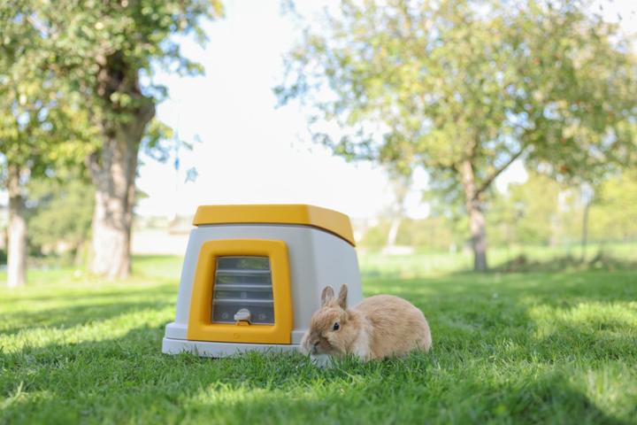 Actual product image Kerbl Bunny Base rabbit house without a continent