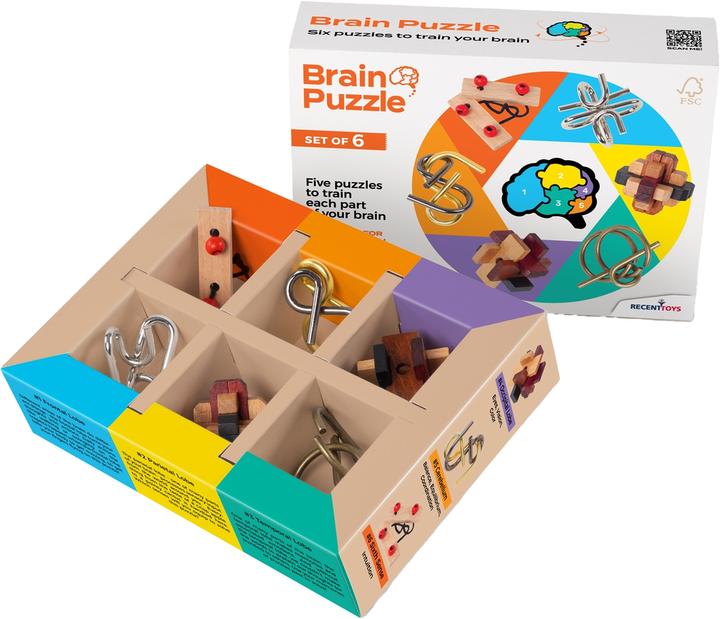 Actual product image Recent Toys Brain Puzzle set of 6 (6 pieces)