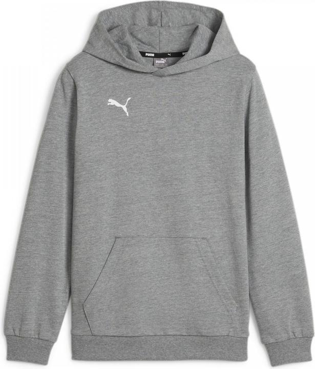 Actual product image Puma teamGOAL Casuals Hoody Jr (164)