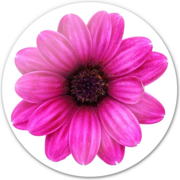 Actual product image Trenddeko Gerbera pink - round (Ø 30 cm)
