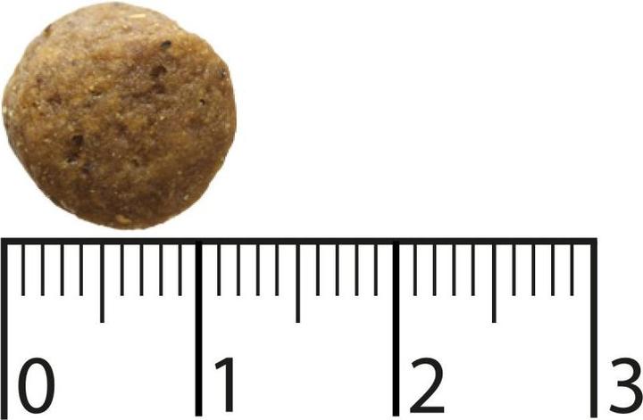 Produktbild Bozita Adult Elch weizenfrei Trockenfutter für Hunde 11 kg (Adult, 1 Stk., 11000 g)