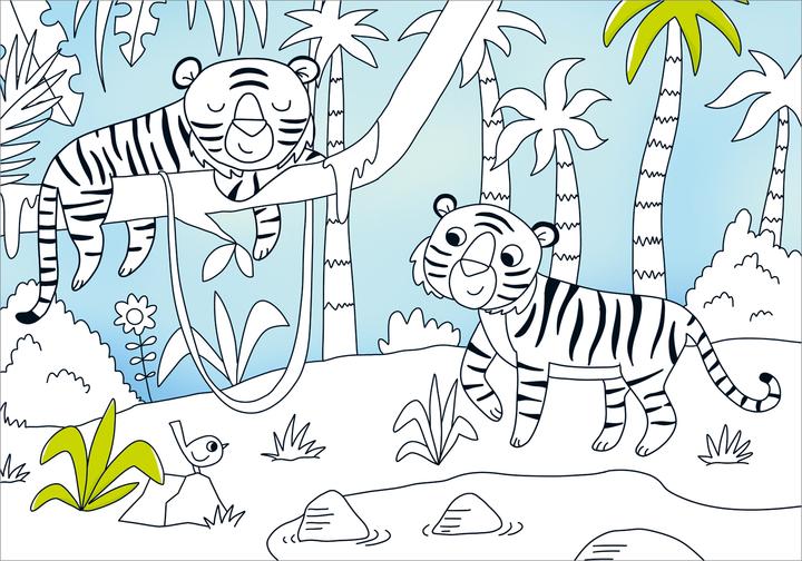 Actual product image Tessloff My most beautiful colourful colouring book. Zoo animals