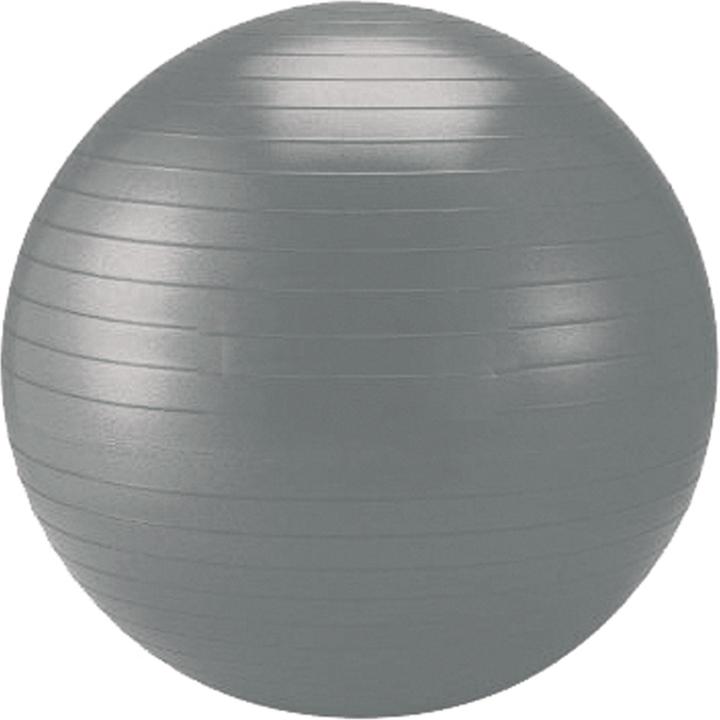 Actual product image Schildkröt Exercise ball (55 cm)