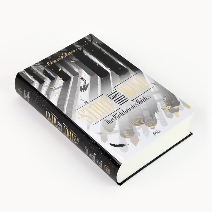 Actual product image Die Stadt ohne Wind (German, Éléonore Devillepoix, 2022)