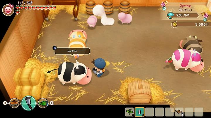 Actual product image Marvelous Story of Seasons: Friends Of Mineral Town (PS4, EN)