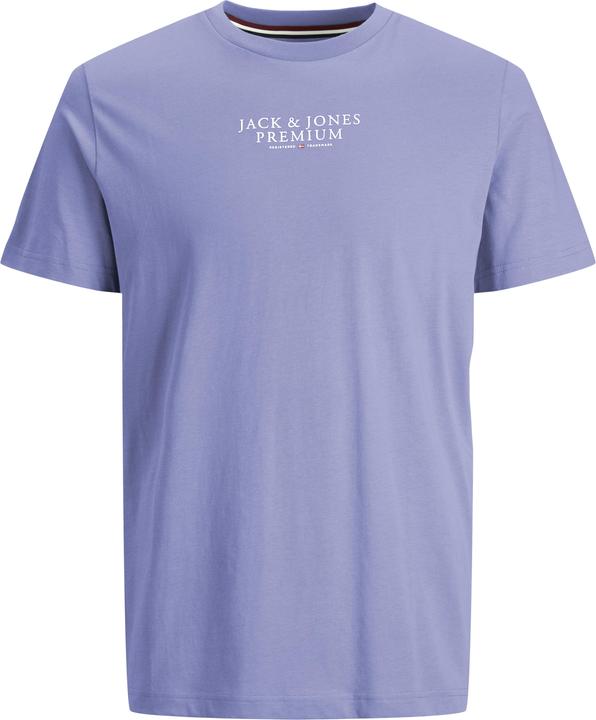 Jack & Jones Jprbluarchie Ss Tee Crew Neck Noos