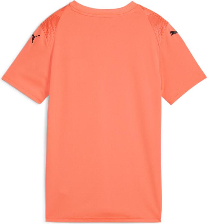 Actual product image Puma teamULTIMATE Jersey Jr (128)