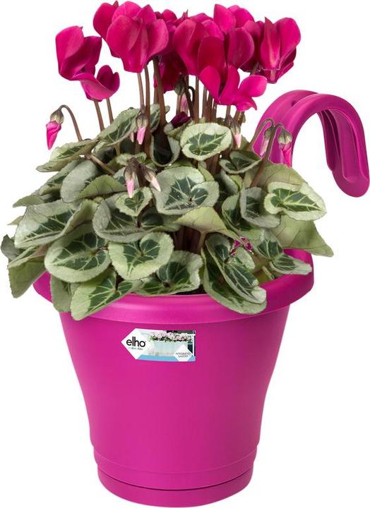 Produktbild Elho Corsica (19.40 cm)