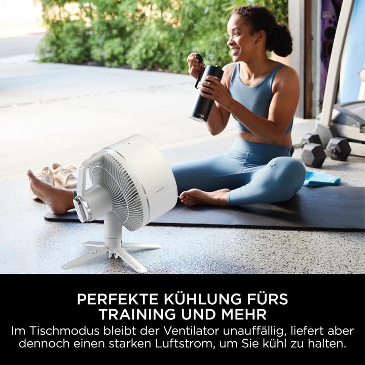 Image du produit Shark FA220EU FlexBreeze (58.70 dB)