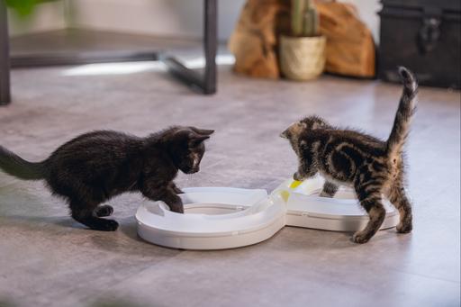 Actual product image Beeztees Bz Kitten Pl Game Rail Agty