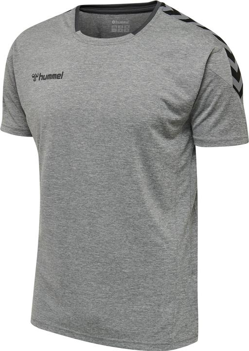Image du produit hummel Authentic Poly Jersey S/S (L)