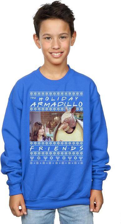 Immagine prodotto Friends Fair Isle Holiday Armadillo Felpa Ragazzi (152, 158)