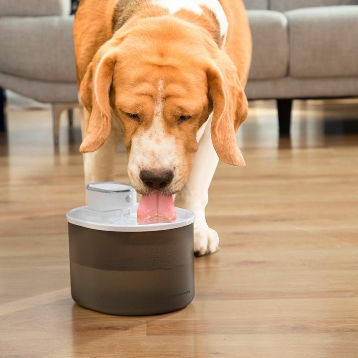 Actual product image InnovaGoods Wiederaufladbarer Katzenbrunnen mit Sensor (3 l)