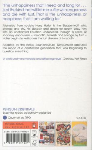 Actual product image Steppenwolf (English, Hermann Hesse, 2011)