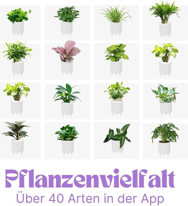 Actual product image Hermex Ivy Smart Planter (11 cm)