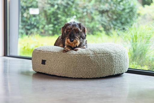 Image du produit Designed by Lotte Ribbed (Chien)