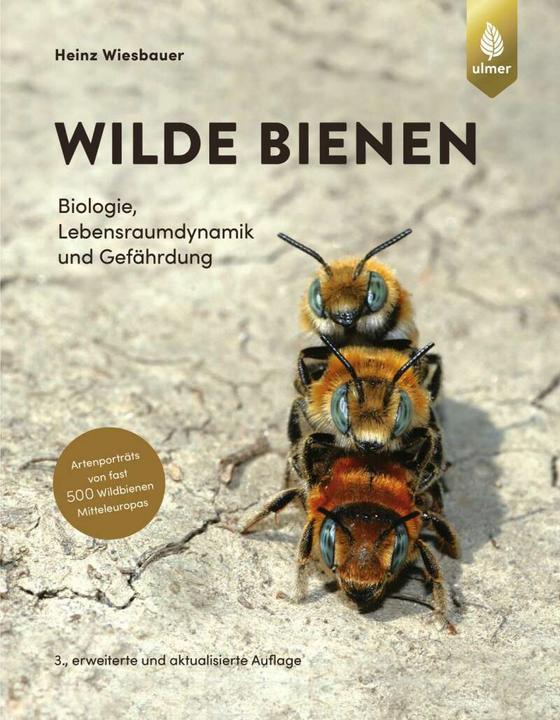 Produktbild Wilde Bienen (Deutsch, Heinz Wiesbauer, 2023)