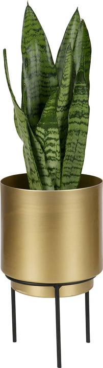 Produktbild BePureHome Pflanzentopf Guus Metall Messing antik Ø13cm (13 cm)