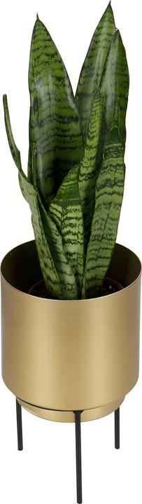 Produktbild BePureHome Pflanzentopf Guus Metall Messing antik Ø13cm (13 cm)