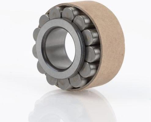Immagine prodotto Cuscinetto a rulli cilindrici RSL183010 Ø interno 50 mm Ø esterno 72,33 mm Larghezza23 mm