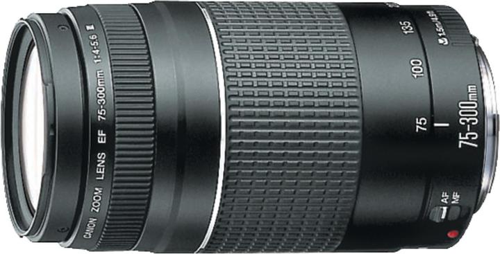 Productafbeelding Canon EOS 2000D Kit (75 - 300 mm, 24 Mpx, APS-C / DX)