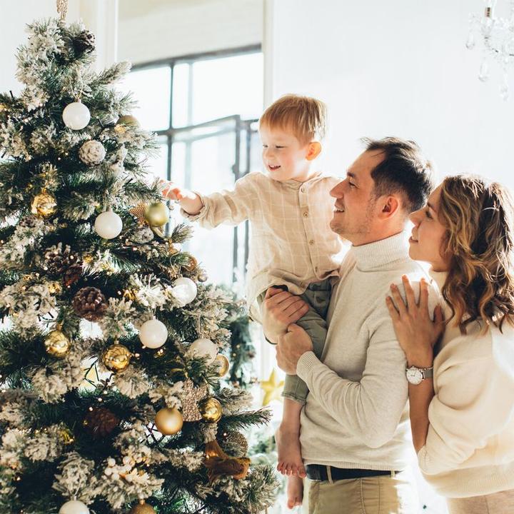 Actual product image Hermex Christmas tree cover (1 -part)