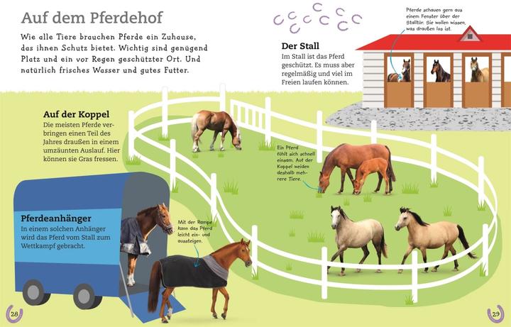 Immagine prodotto Pferde und Ponys (Tedesco, DK Verlag - Bambini, 2019)
