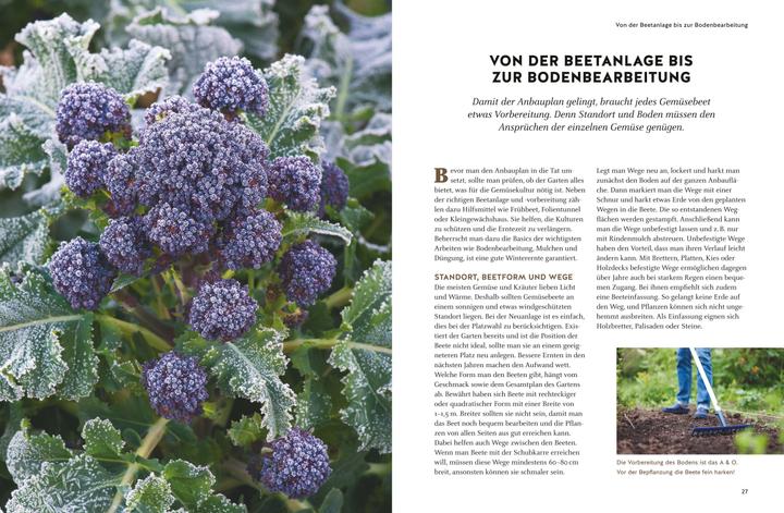 Immagine prodotto Wintergemüse anbauen (Tedesco, Fagiolo di Burkhard, 2018)