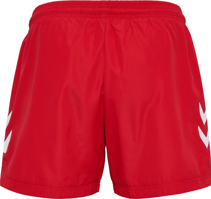 Produktbild hummel hmlLGC NED SWIM SHORTS (L)