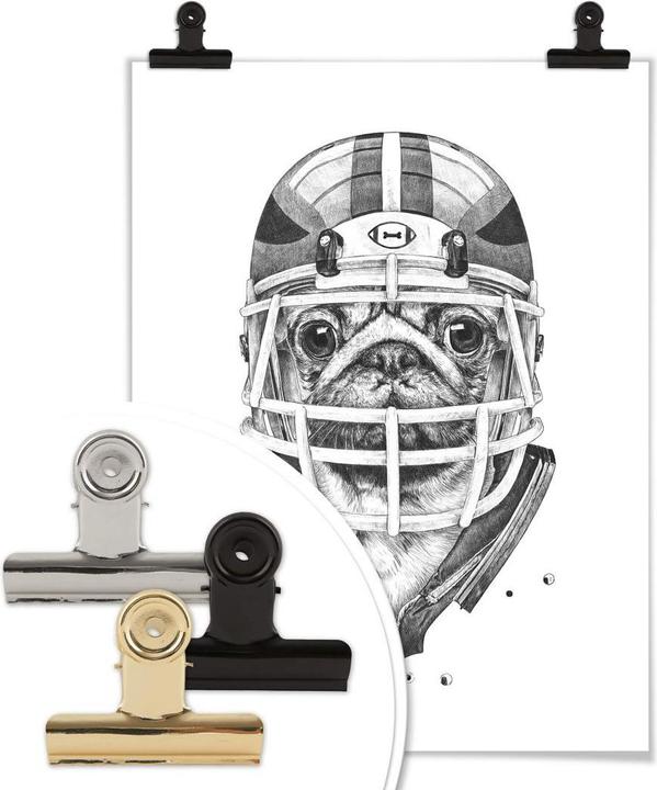 Produktbild Trenddeko American Pug Football (50 x 60 cm)