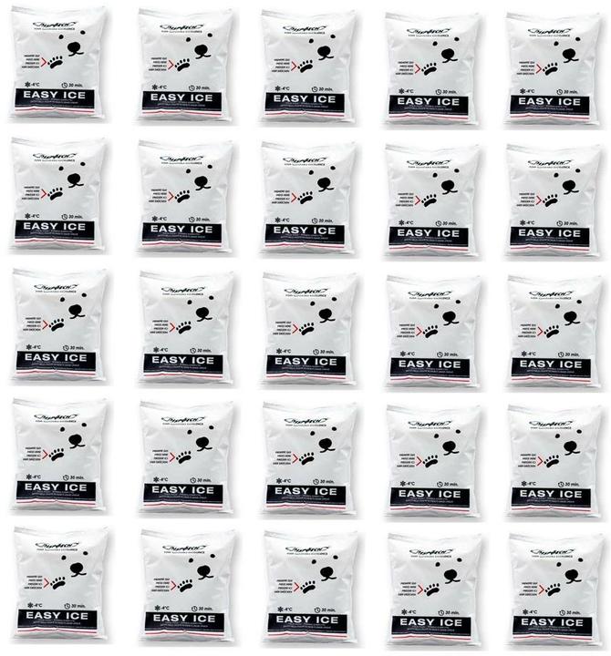 Produktbild Dispotech Easy Ice (25 x, 5672 g)