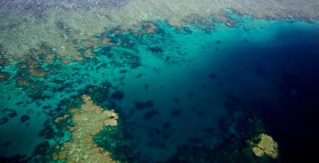 Produktbild Das Great Barrier Reef Naturwunder der Superlative (DVD, 2012, Deutsch, Englisch)