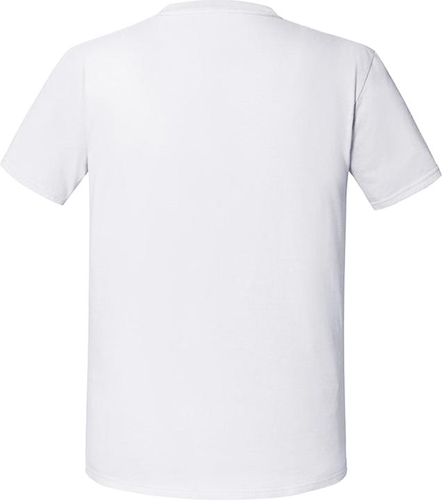 Actual product image Fruit of the Loom Premium T-shirt (M)