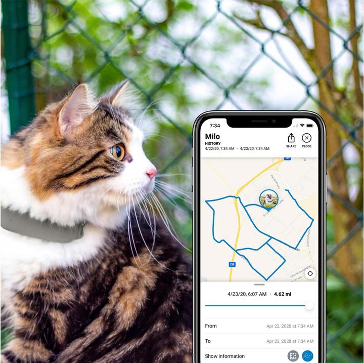 Produktbild Tractive Gps Lte (Katze, Allgemein)