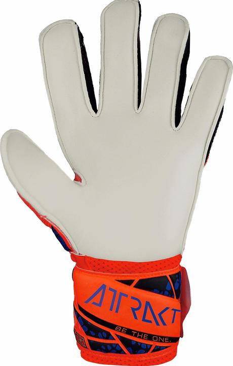 Produktbild Reusch Attrakt Solid (3.5)