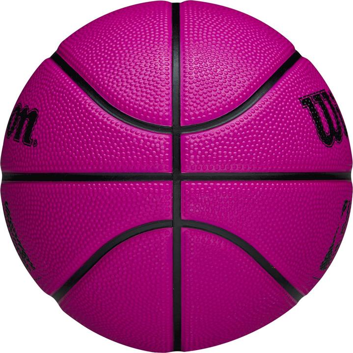 Image du produit Wilson NBA DRV Mini