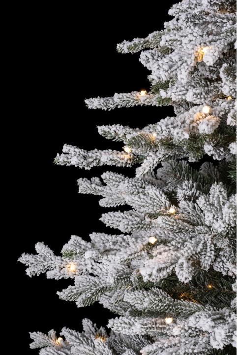 Immagine prodotto STT Albero (180 cm)