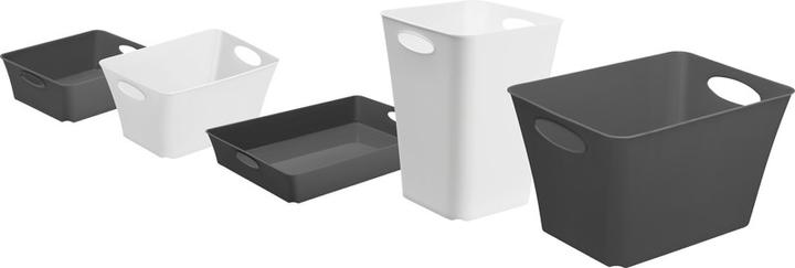 Actual product image Rotho Livingbox (39.5 x 31 x 52.5 cm, 44 l)
