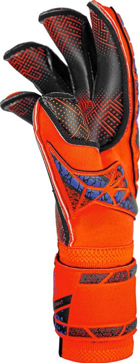 Immagine prodotto Reusch Guanto da portiere Attrakt Gold X - 9 (9)